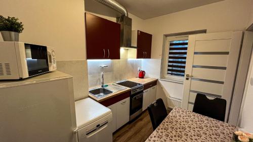 Η κουζίνα ή μικρή κουζίνα στο Apartament Lublin Stare Miasto "Bob Cat"