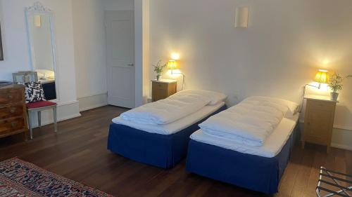 two twin beds in a room with two lights on at Hotel im Schlosspark in Basel