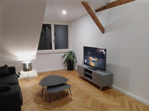 Televisyen dan/atau pusat hiburan di Helle Dachgeschoßwohnung am Weinberg-Campus