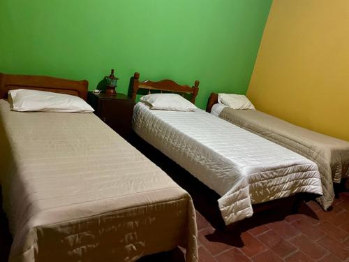 three beds in a room with green walls at Hostel Alelí in Cafayate