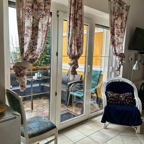 a room with sliding glass doors with a cat sitting on a chair at Villa Borostyán in Tihany