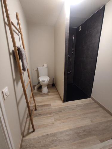 a bathroom with a toilet and a shower with a ladder at Garden level apartment in Le Pertuis