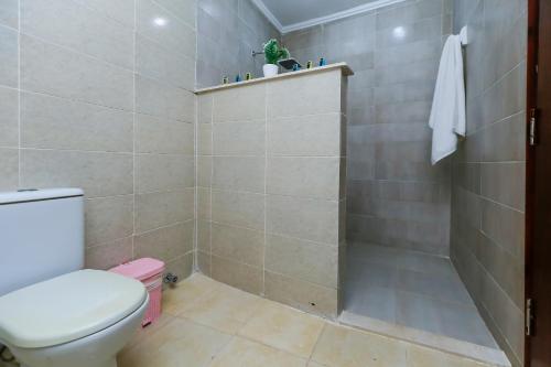 a bathroom with a toilet and a shower at Turquoise Pyramids palace in Giza