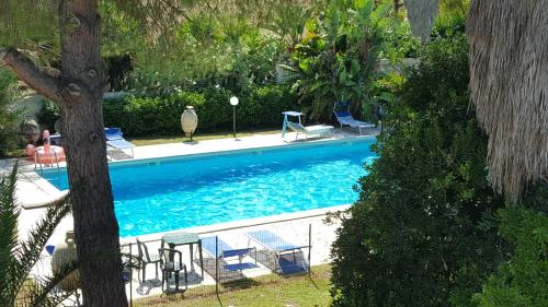 a large swimming pool with chairs and a tree at B&B Le Amazzoni in Torre Chianca