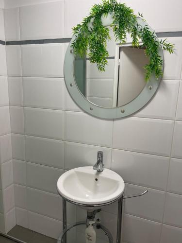 une salle de bain avec un lavabo et un miroir dans l'établissement Seemingly well placed 100m 2, à Paris