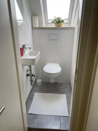 a small bathroom with a toilet and a sink at Villa Fracasso in Bad Salzuflen