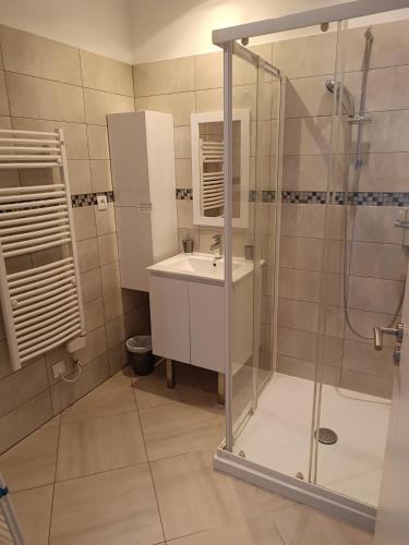 une salle de bain avec un lavabo et une douche dans l'établissement Appartement Molini, à Porticcio