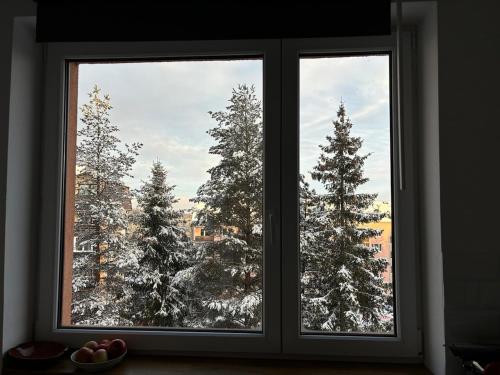 Small studio in the heart of High Tatras v zimě