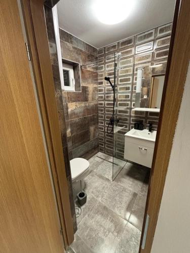 a bathroom with a shower and a toilet and a sink at Soti Apartments in Kupari