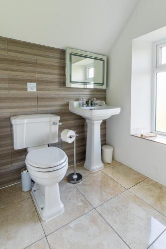 a bathroom with a toilet and a sink at Rooms at The Highcliffe in Aberporth