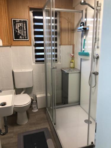 a bathroom with a shower with a toilet and a sink at Gästehaus mit Garten in Blankenfelde