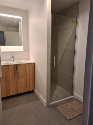 une salle de bain avec douche et lavabo dans l'établissement Rental house Niort center, à Niort