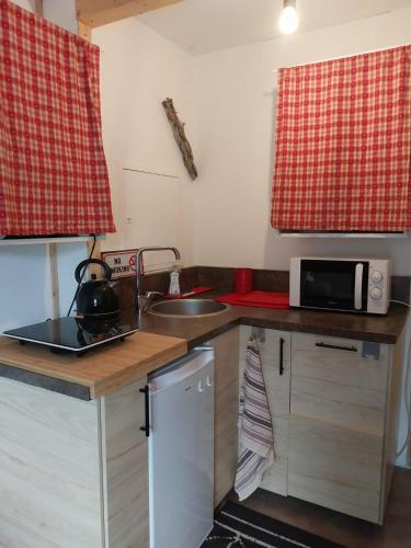une petite cuisine avec un évier et un micro-ondes dans l'établissement Lac et montagnes en un clin d'oeil, à Duingt