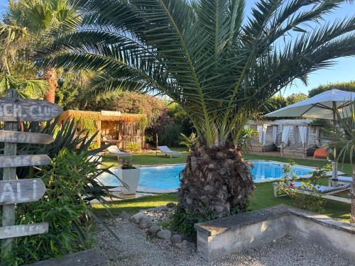 un palmier installé à côté d'une piscine dans l'établissement Mas de Sophie, à Châteaurenard
