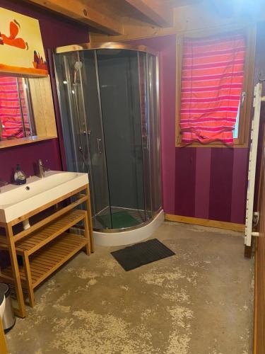 une salle de bain avec douche et lavabo dans l'établissement Bienvenue Au Gîte des Daines, à Lavans-lès-Saint-Claude