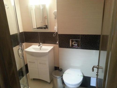 ein Badezimmer mit Waschbecken, Toilette und Spiegel in der Unterkunft Condor Resort in Dulceşti