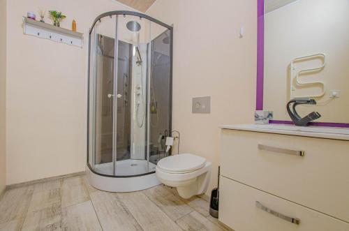 a bathroom with a shower and a toilet at Gîte Chez Angela in Bar-sur-Aube
