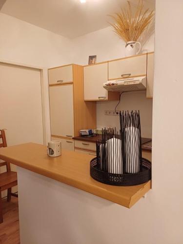 Apartment vis á vis Schönbrunn with private parking