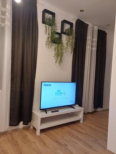 Apartment vis á vis Schönbrunn with private parking