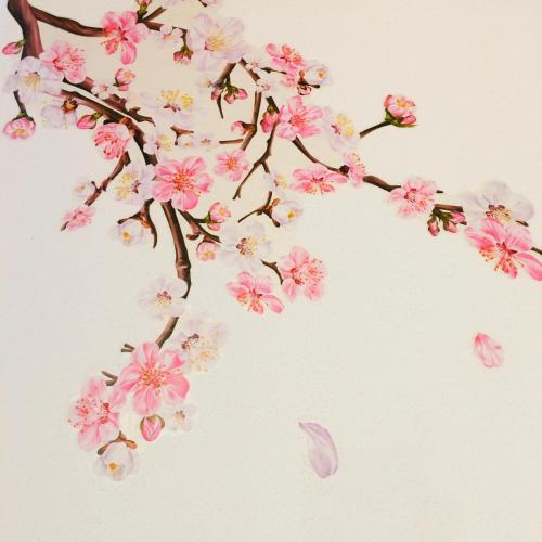 a branch of pink flowers on a white background at Agriturismo Corte Marani in Badia Calavena