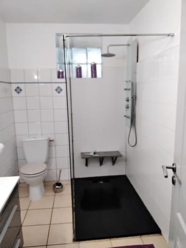 a bathroom with a shower and a toilet at Grand T2 avec piscine privative in Les Trois-Îlets