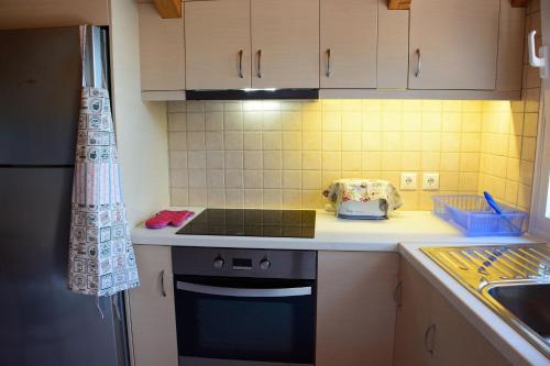 a small kitchen with a stove and a sink at Kimataki in Frikes