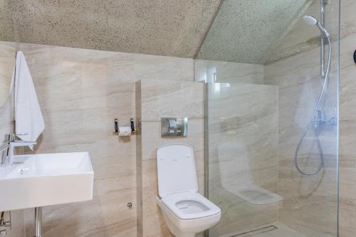 a bathroom with a toilet and a sink and a shower at Villa Vucje near Kolasin in Kolašin