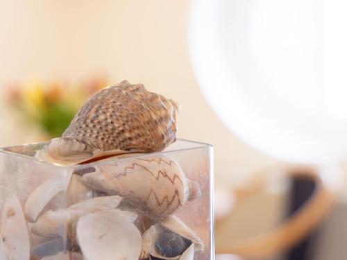 a shell sitting on top of a glass container at Apartment Jeschek by Interhome in Ostseebad Koserow