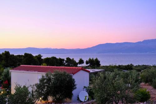 Olive Garden Home with Hot Tub