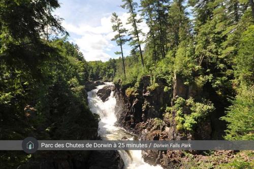 a waterfall in the middle of a forest at Le Lac Apaisant - Rustic Haven by the Water in Saint-Calixte