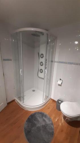 La salle de bains est pourvue d'une douche, de toilettes et d'un tapis. dans l'établissement Confortable chalet au calme à l'étang du stock, à Langatte