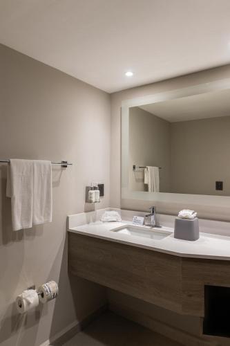 Ένα μπάνιο στο Holiday Inn Express Tapachula by IHG