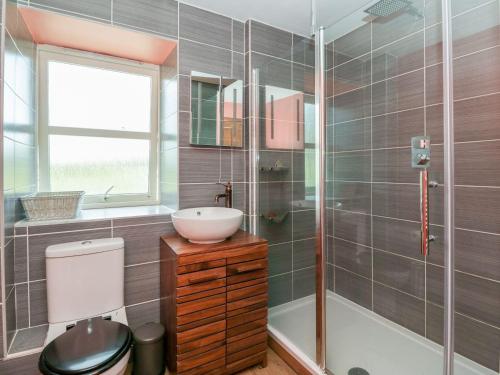 ein Badezimmer mit Waschbecken, Toilette und Dusche in der Unterkunft Camisky Steading in Fort William