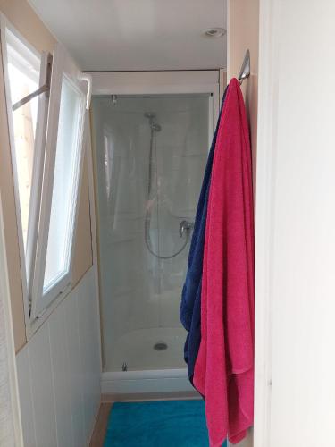 La salle de bains est pourvue d'une douche et de serviettes roses et bleues. dans l'établissement Mobil-home - Le 147 aux Iscles, à La Roque-dʼAnthéron