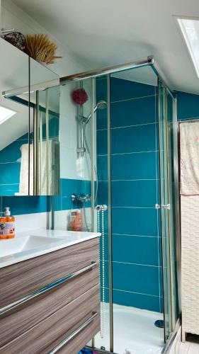 une salle de bain avec une douche en verre et un lavabo dans l'établissement Large, quiet, familial top floor duplex, à Paris