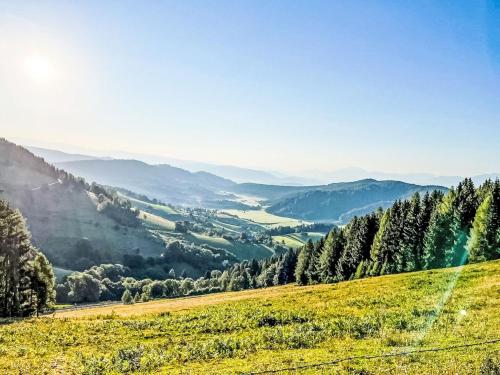 a grassy hill with a view of a valley at Apartment Simonhöhe Kärntentraum-2 by Interhome in Sankt Paul