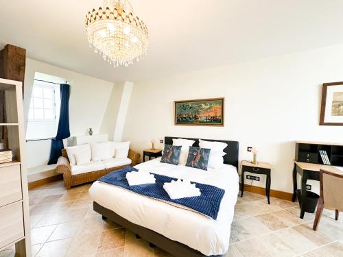 a bedroom with a bed and a chandelier at Château de Tilly in Boissey-le-Châtel