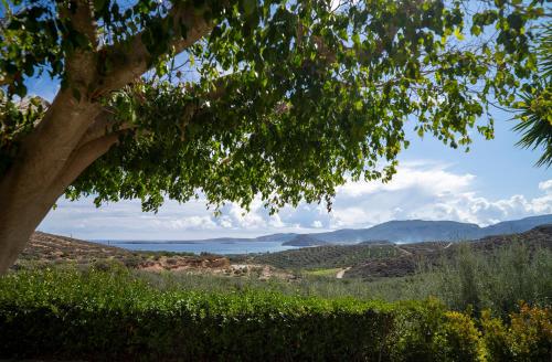 a view of the ocean from under a tree at Villa Amalia in Palekastron