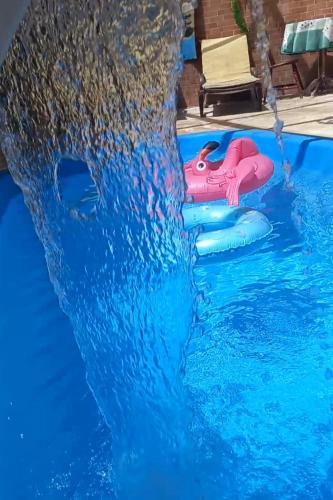 una piscina con un delfín falso en el agua en Refúgio da Serra 4 km do baden baden, en Campos do Jordão
