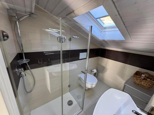 a bathroom with a shower and a toilet at Bellavista Apt-Garden & LakeView in Sala Comacina