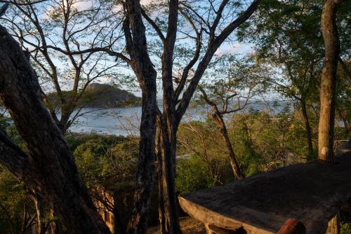 a view of a river through the trees at Casa Medusa in El Gigante