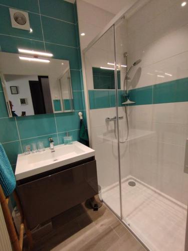 une salle de bain avec un lavabo et une douche en verre dans l'établissement 1 Chambre d'hôtes Chante-coucou, à Onet le Château