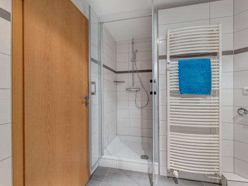 a bathroom with a shower and a glass door at Haus Berlin, Wohnung 2 in Loddin