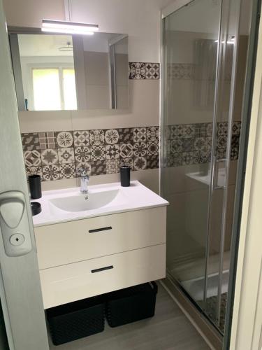 une salle de bain avec un lavabo et une douche dans l'établissement Résidence la Jonquière, à Cazaubon