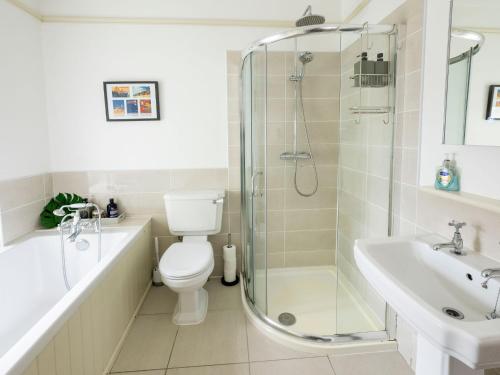 ein Badezimmer mit Dusche, Toilette und Waschbecken in der Unterkunft Rose Cottage in Cardigan