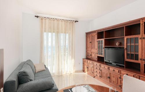 Μια τηλεόραση ή/και κέντρο ψυχαγωγίας στο Stunning Apartment In Podstrana