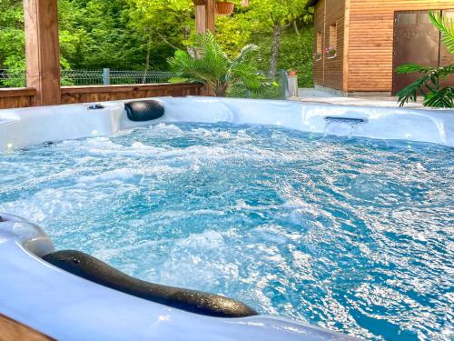 a swimming pool with a snake in it at Apartment Maklen-1 by Interhome in Brod Moravice