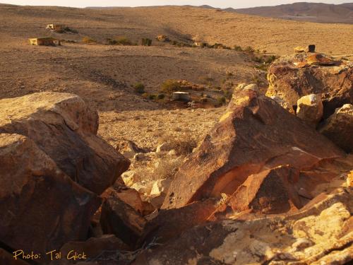 a group of large rocks in a field at Carmey Avdat Farm in Midreshet Ben Gurion