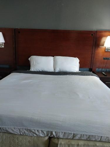 a large white bed with two pillows on it at King Bed Hotel Room 201 in Jackson