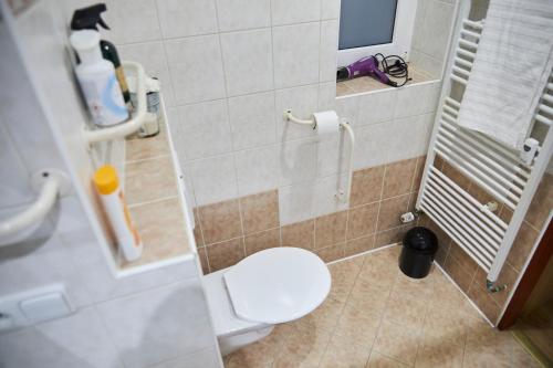 a bathroom with a toilet and a shower stall at Sunny apartment Trutnov in Trutnov